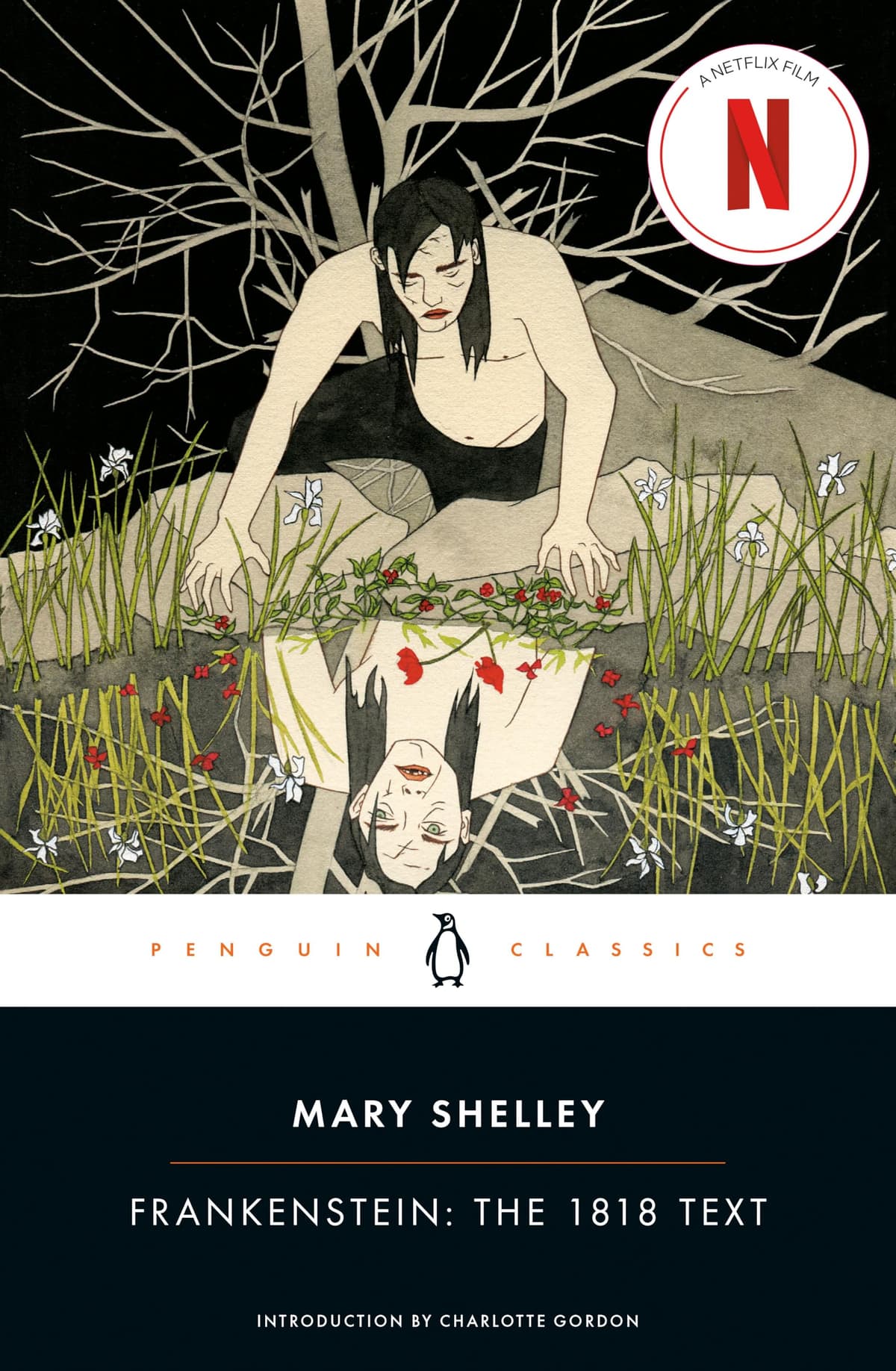 Cover of Frankenstein