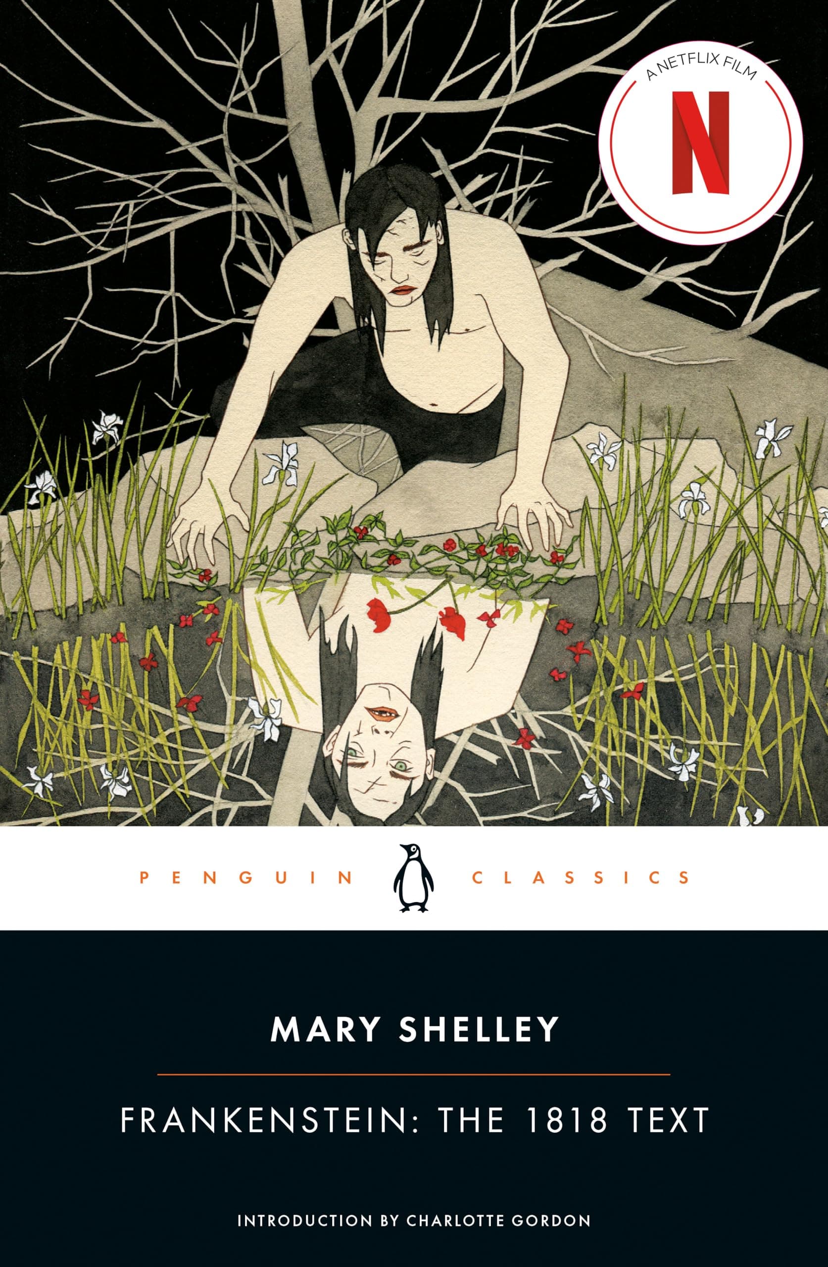Cover of Frankenstein