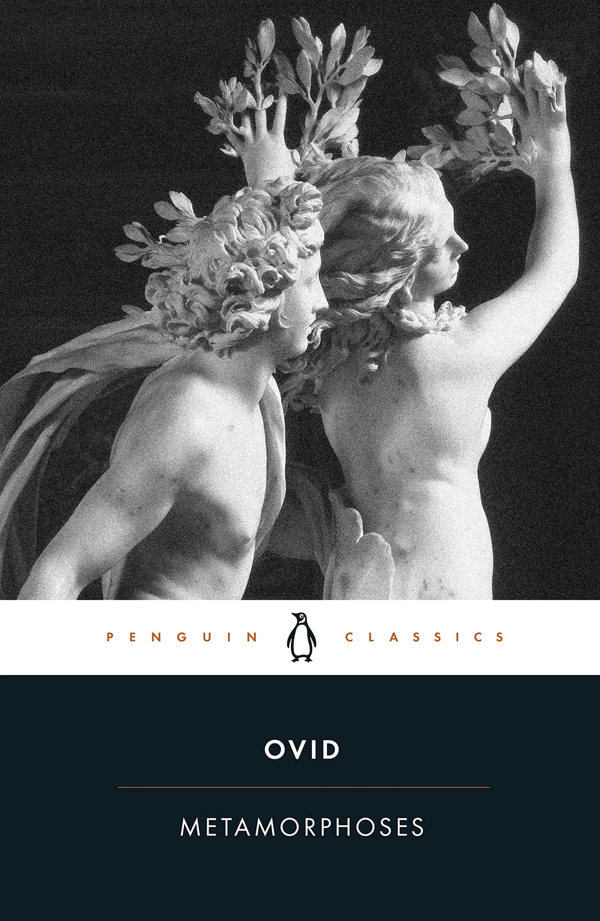 Cover of Metamorphoses