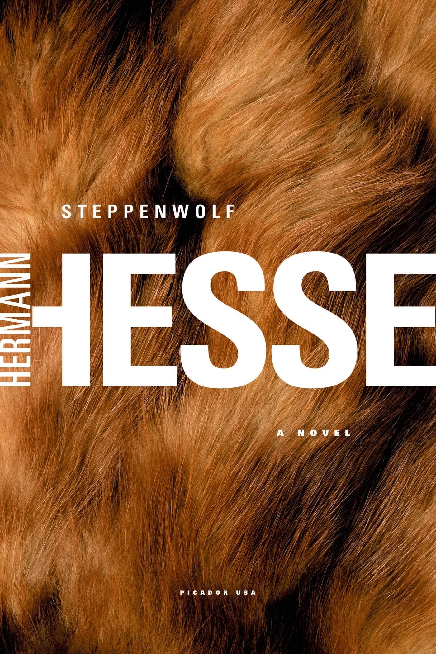 Cover of Steppenwolf