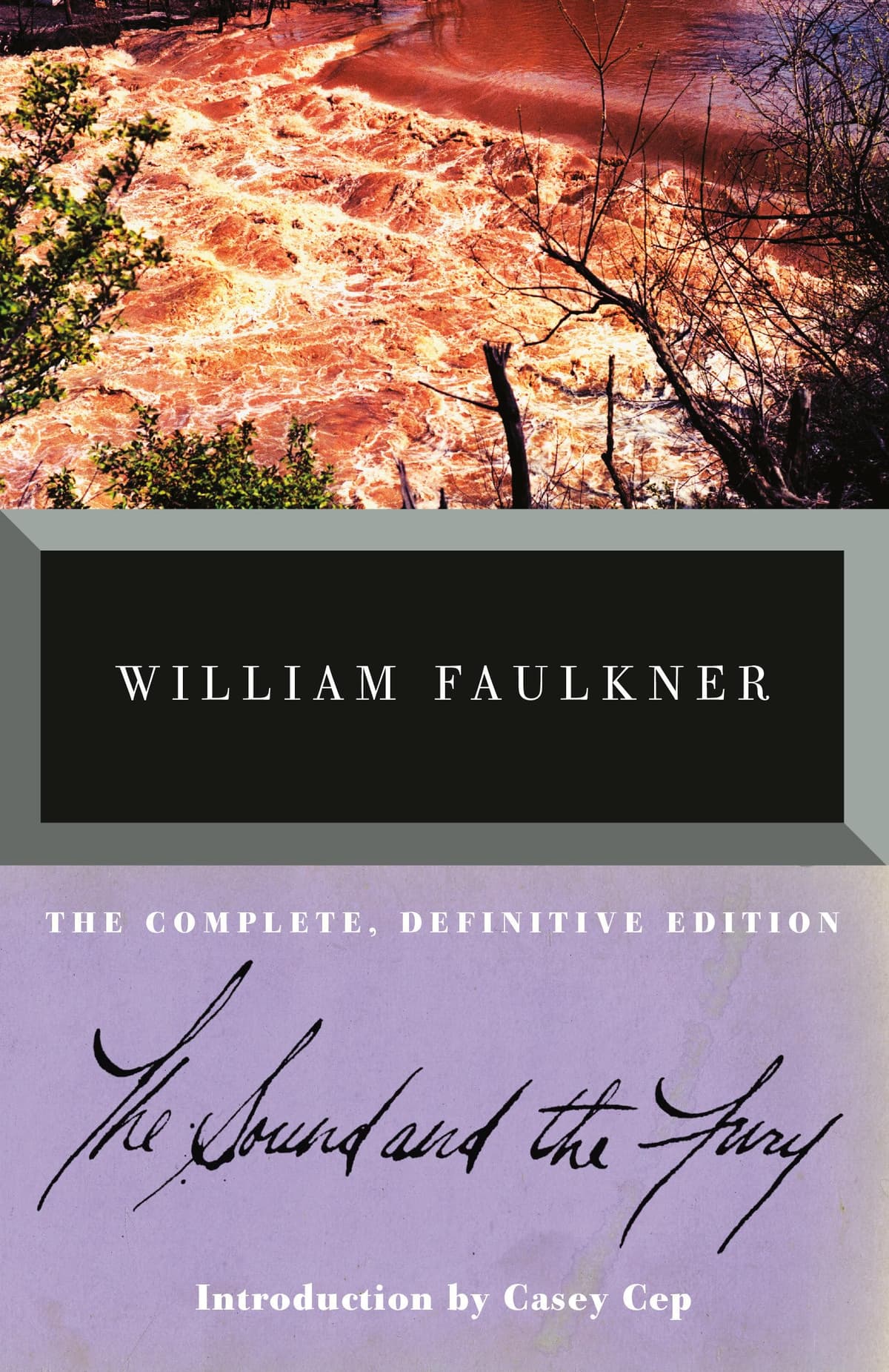 Cover of The Sound and the Fury